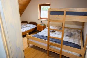 a bedroom with two bunk beds and a ladder at Alpine Lodge Goška Ravan in Radovljica