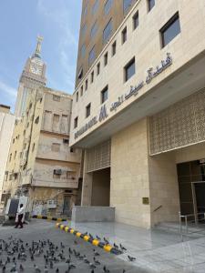 a flock of pigeons standing outside of a building at Saif Al Majd Hotel in Mecca