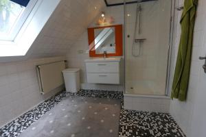 a bathroom with a shower and a sink and a mirror at Ferienwohnung Hagge Quickborn bei Hamburg in Quickborn