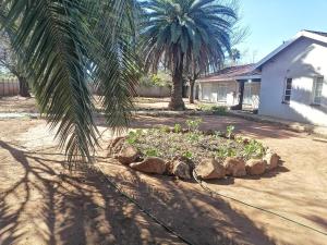 a garden with rocks and a palm tree and a house at Royal Oasis in Mahikeng