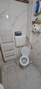 a bathroom with a white toilet in a room at Apartman SAVKA in Gornji Ribnik