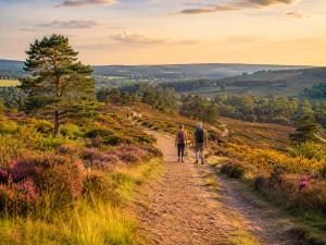 a man and a woman walking down a dirt road at Glamping Fit in the wild in Forest Row