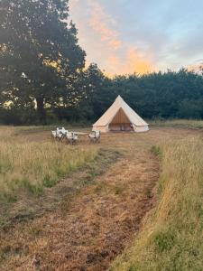 a tent in the middle of a field at Glamping Fit in the wild in Forest Row +12 photos