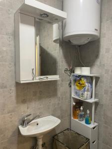 a bathroom with a sink and a mirror at Dona1102 in Žarkovo