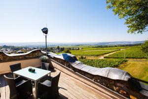 a patio with a table and chairs and a view at Burg & Gästehaus by Schwarzenstein in Geisenheim