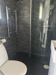 a bathroom with a toilet and a glass shower at Villa Martini in Åmål