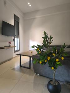 a living room with a couch and a table with a tree at Summer Dream Escape Apartment in Gerakini