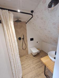 a bathroom with a toilet and a sink at Tuule in Jeedasküla +29 photos