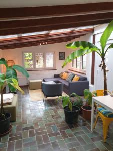 a living room with a couch and some plants at Chalet Ritz Ferienhaus in Dieblich