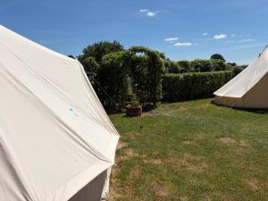 two tents are set up in a field at Camping at the Barge in Alton Barnes