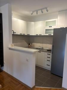 a kitchen with white cabinets and a black refrigerator at Vanila Ub in Ub
