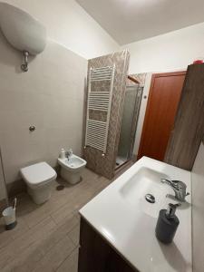a bathroom with a sink and a toilet and a shower at B&B ombra dei pini in San Leucio del Sannio
