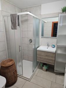a bathroom with a shower and a sink at Holiday Home NA VASI in Gorenja Vas +40 photos