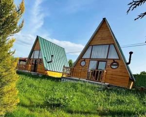 two houses sitting on top of a grassy hill at Çameli doğa hotel in Belevi