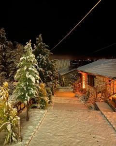 a house with a christmas tree in front of it at Çameli doğa hotel in Belevi