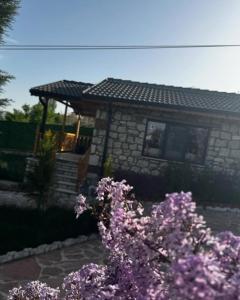 a house with purple flowers in front of it at Çameli doğa hotel in Belevi