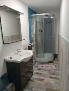 a bathroom with a sink and a shower at L'immeuble de Didier et Fabien in Guînes +7 photos