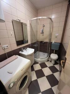 a bathroom with a shower and a sink and a toilet at STUDIOAPARTMANI JEDVAJ in Krapina