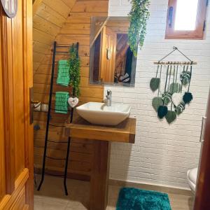 a bathroom with a sink and a mirror at Careva staza in Nikšić +23 photos