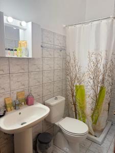 a bathroom with a toilet and a sink and a shower curtain at George's & Amalia's appartments 2 in Afantou +78 photos