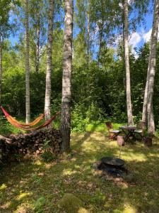 a hammock and a picnic table in the woods at Pendu talu kämping in Orissaare +8 photos