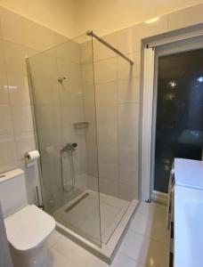 a bathroom with a glass shower with a toilet at Jasmine Studio 3 Pigadia Siatista in Siátista