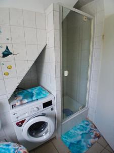 a washing machine in a bathroom with a shower at Ferienwohnung Lenhardt in Barkenholm