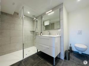 a bathroom with a shower and a sink and a toilet at La Ferme de Sainte Isabelle in Montlay-en-Auxois