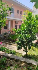 a house with a tree in front of it at Rezidenca Nanaj in Vlorë +9 photos
