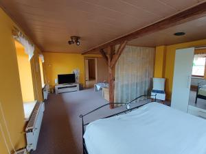 a bedroom with a bed and a tv in it at Hainich-Ferienwohnung in Hörselberg-Hainich
