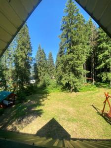a view from a window of a yard with trees at Подих Лісу 2 in Synevyrsʼka Polyana