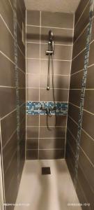 a bathroom with a shower with a hose in it at Studio 4 personnes au Cap-d'Agde in Agde +12 photos