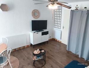 a living room with a flat screen tv and a table at Studio 4 personnes au Cap-d'Agde in Agde