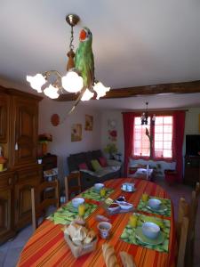 a parrot perched on a chandelier above a table at Chambre d'hôtes les Rosiers in La Flèche