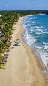an aerial view of a beach with palm trees and the ocean at Hilton Cottage in Trincomalee