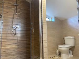 a bathroom with a toilet and a glass shower at 3 Elementy in Čachtice +8 photos
