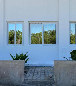 a white room with three windows and two plants at Mida creek front one bedroom in Watamu