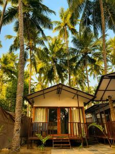 a small house in front of palm trees at Seashell Cottages Palolem in Canacona +13 photos