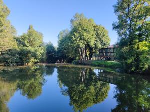 a river with trees and a house in the background at Le chalet Campy in Moustier
