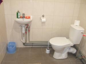 a bathroom with a toilet and a sink at Kogudusemaja külalistoad in Narva-Jõesuu +15 photos