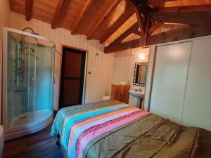 a bedroom with a bed and a glass shower at Le chalet Campy in Moustier
