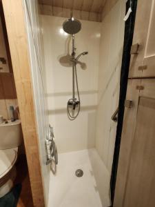 a small bathroom with a shower and a toilet at Le chalet Campy in Moustier +17 photos