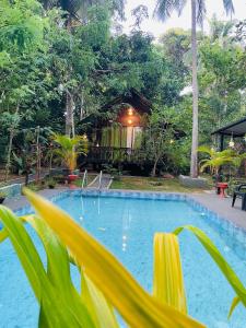 a swimming pool with a house in the background at Nature World Udawalawe in Udawalawe