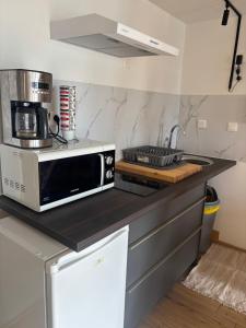 a kitchen with a microwave on a counter at La Palissandre in Tallard +19 photos