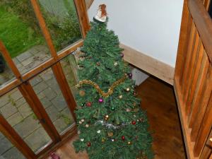 a green christmas tree in a room with windows at Romden Barn in Smarden +15 photos