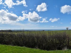 a field of grass with a blue sky and clouds at Barn Scar-Uk1394 in Corney