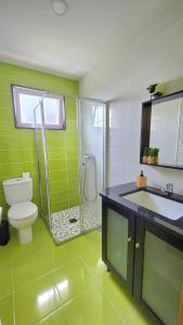 a green bathroom with a toilet and a shower at Vikings AL in Areosa +13 photos