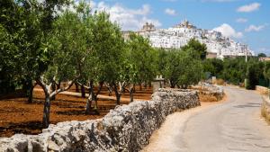 a stone wall with trees and a building in the background at 21mq Suite Jacuzzi in Ostuni