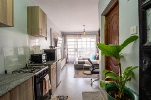 a kitchen with a plant in the middle of it at Studio Apartment with balcony in Ngara in Nairobi
