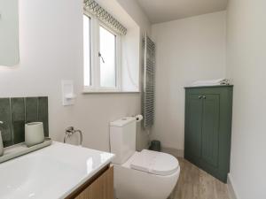 a bathroom with a white toilet and a green cabinet at Foxglove in Bicester